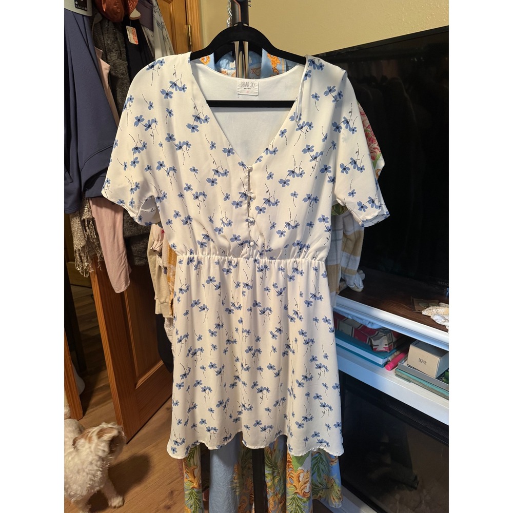 Sienna Sky White Blue Floral V-Neck Flutter Sleeve Mini Dress Medium 02CDR1007